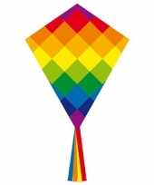 Gekleurd speelgoed vliegertje regenboog 10172445